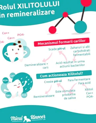 babafogak demineralizálása