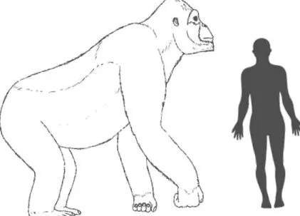 kong