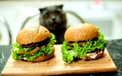 hamburger receptemről