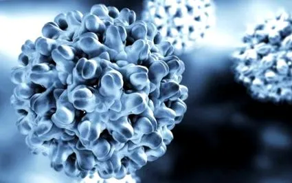 hepatitis vírus