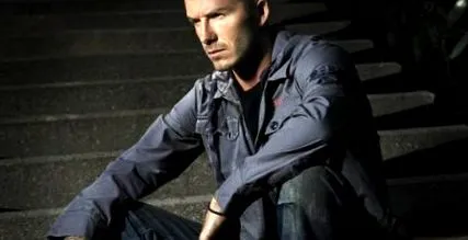 david