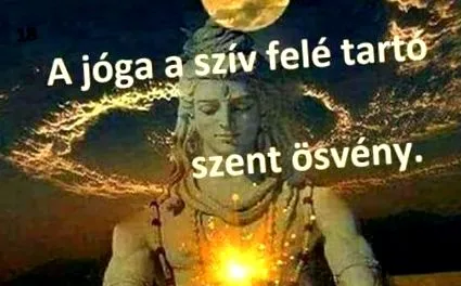 controlul controlul