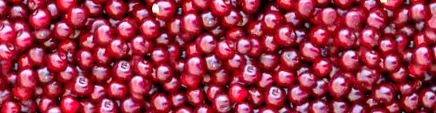 fructe naturală