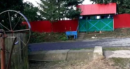 селаните труе