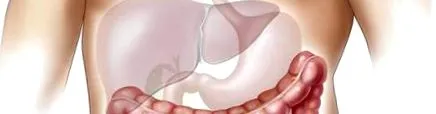 oculusprim
