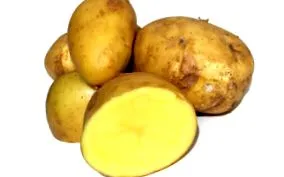 diéta