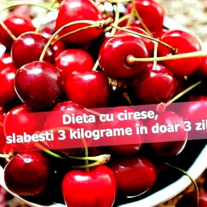 časopis