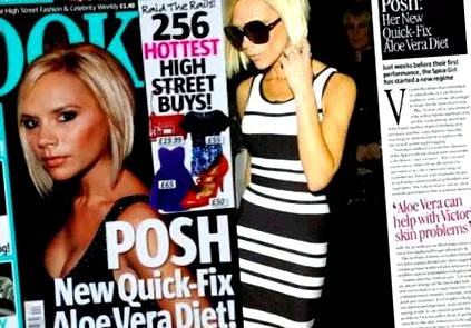 vékony diet