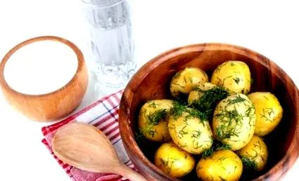 чаша јогурт