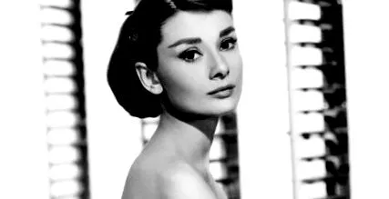 számára bika
