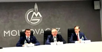 petrezselyem