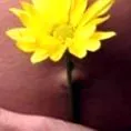 диета