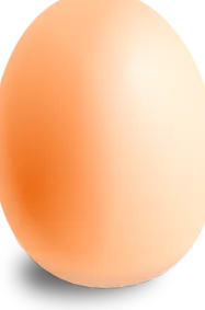 menü