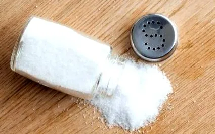 брзо