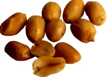 szerves