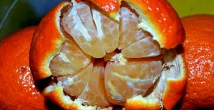 mandarinnal