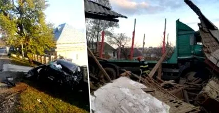 статті