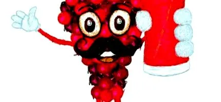 šťavová