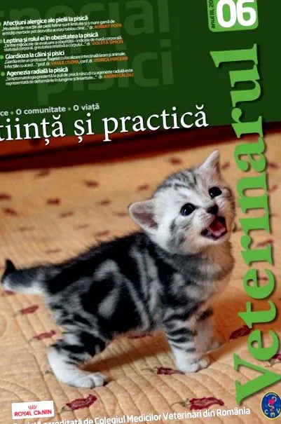диагностика симптоми