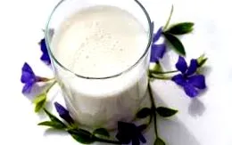 túró joghurt