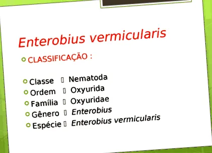 classificacao