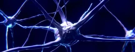 epilepszia