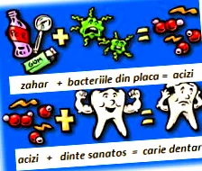 baktériumok