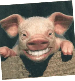 gazdák