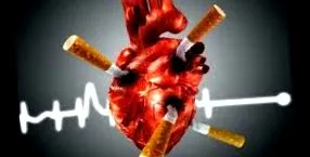 cardioclass