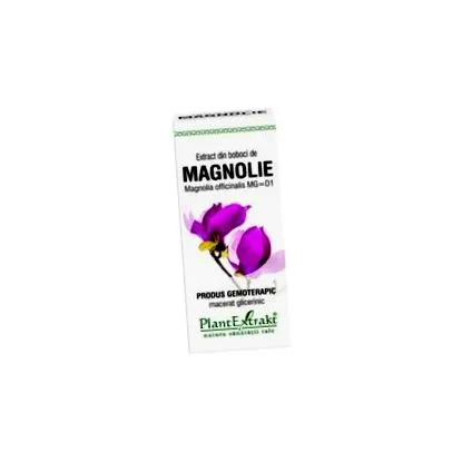 Magnolia officinalis magnolia