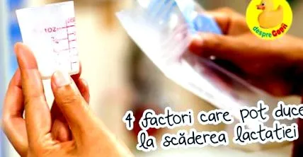 laktációhoz