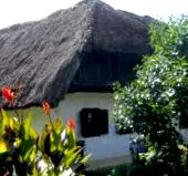 bucătărie