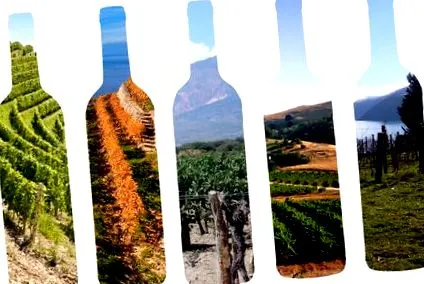Winelovers Колко захар какво