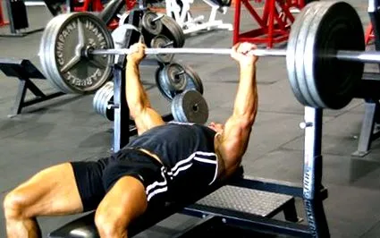 musculaturii guru