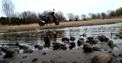 знам какво бензинов