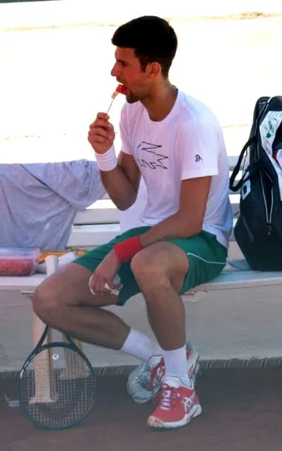 novak hogyan