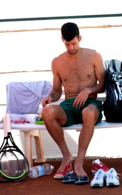 novak fotógaléria