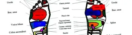 terápia
