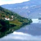 португалија галопирајќи