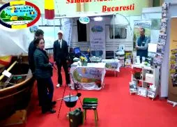 метански
