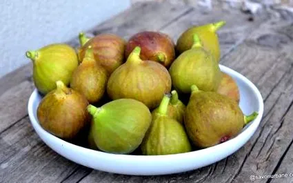 lekvárlekvár lekvárlekvár