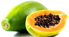 glucoplant