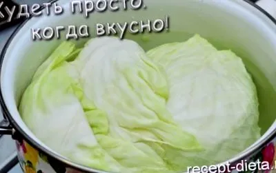 fotó golubtsy