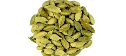 darmaplant