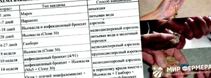 гонартроза