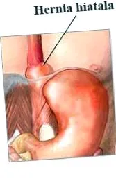 енциклопедија