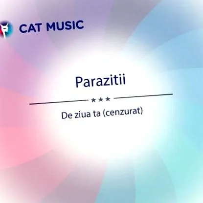 videóik bandája