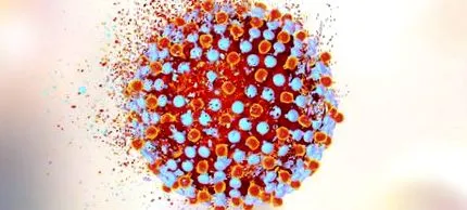 hepatitis vírus