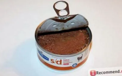 хълм котешки