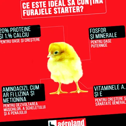 etetünk